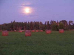 Farm Day @ LBE Camp | Hadashville | Manitoba | Canada