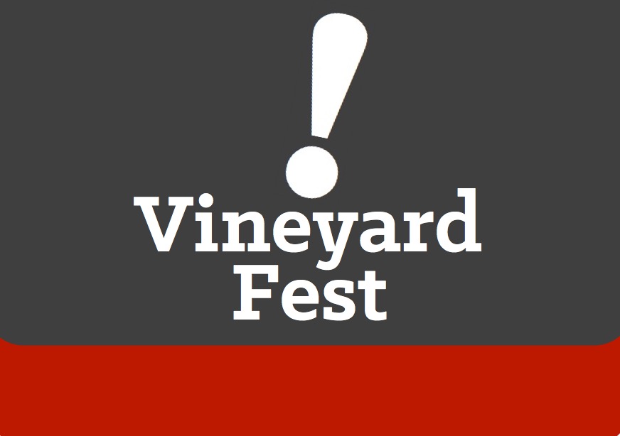 Vineyard 20 Year Festival – Staff Share Stories from over the years