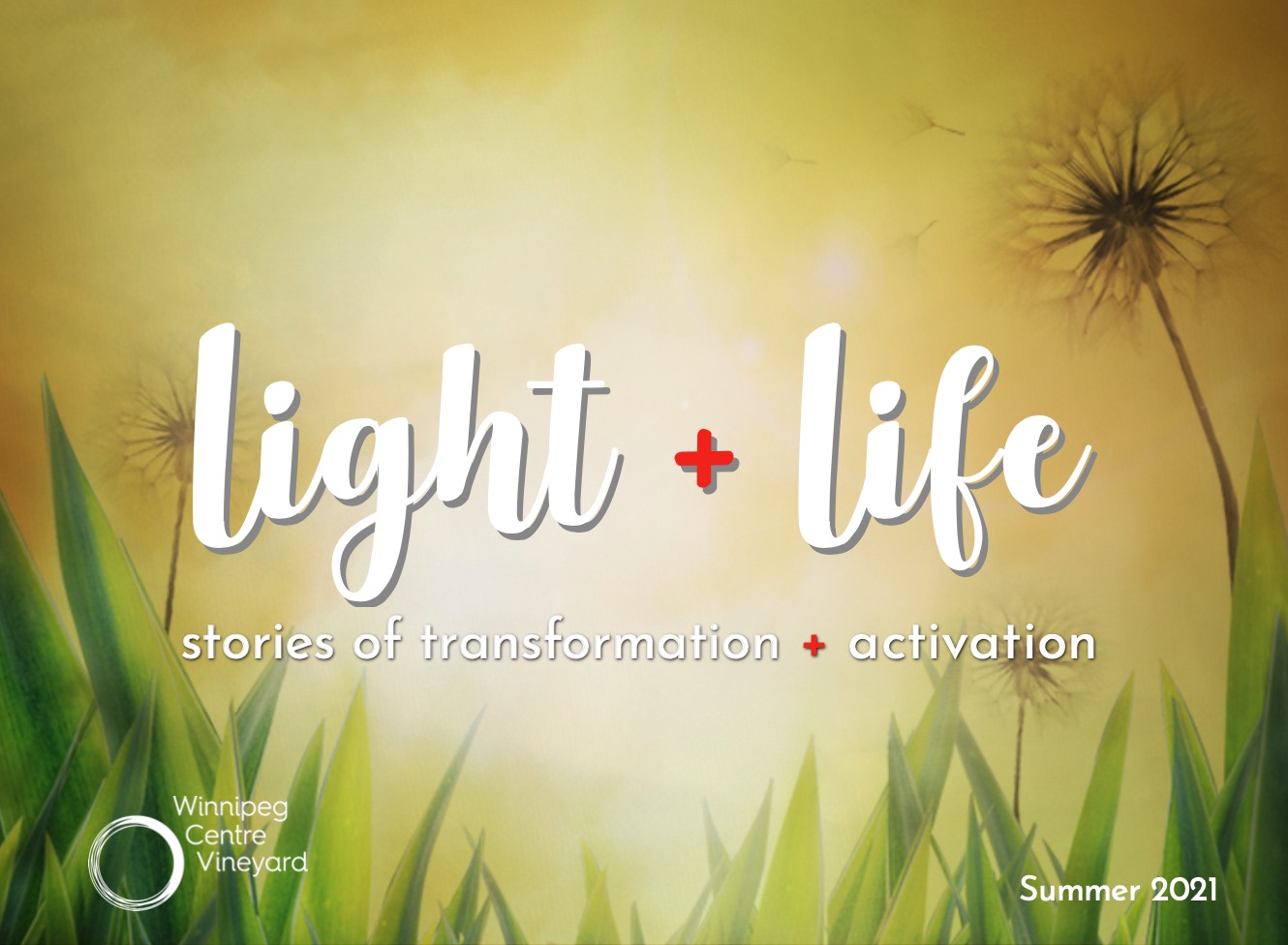 Light & Life – Andrew Reimer