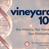 Vineyard 101: Our history, values and distinctives