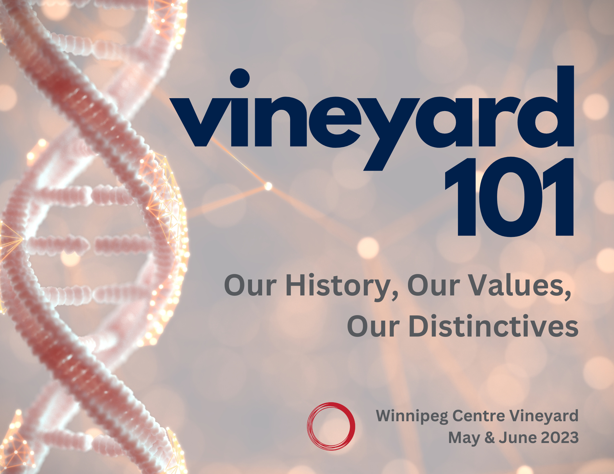 Vineyard 101 : Welcome to the Vineyard!