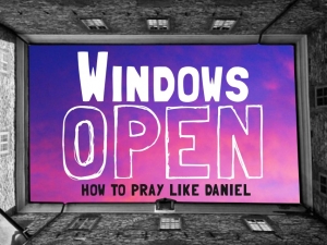 Windows Open